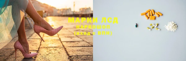 гашик Новозыбков