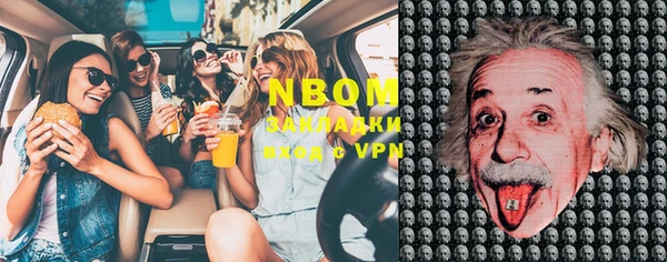 гашик Новозыбков