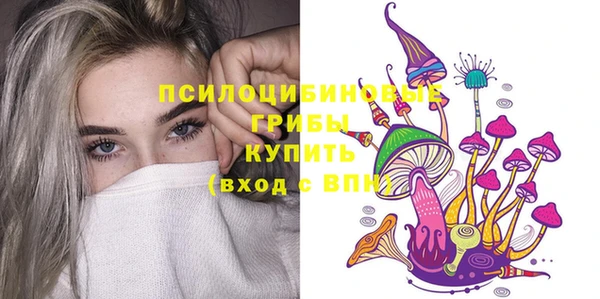 МДПВ Новодвинск