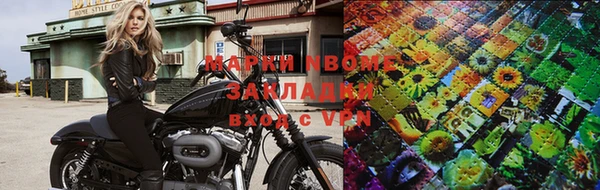 гашик Новозыбков