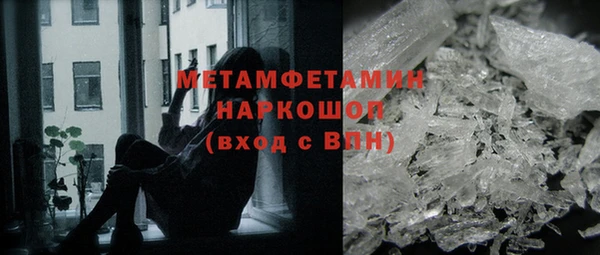 гашик Новозыбков