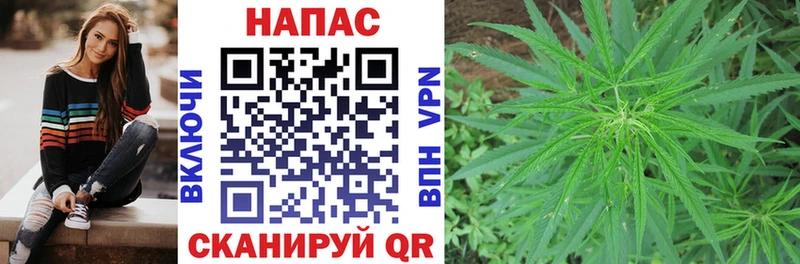 Купить  Ростов-на-Дону  МАРИХУАНА конопля 